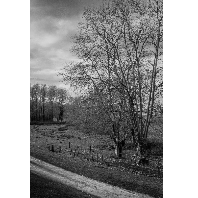 Arthous, France, 2017
