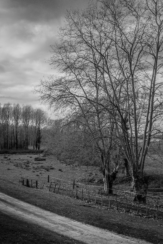 Arthous, France, 2017