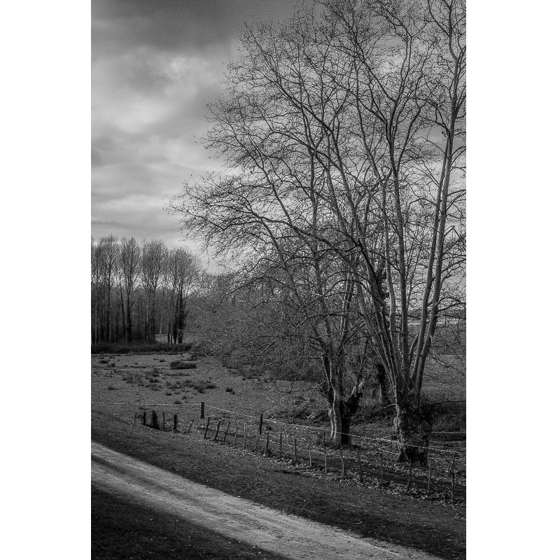Arthous, France, 2017