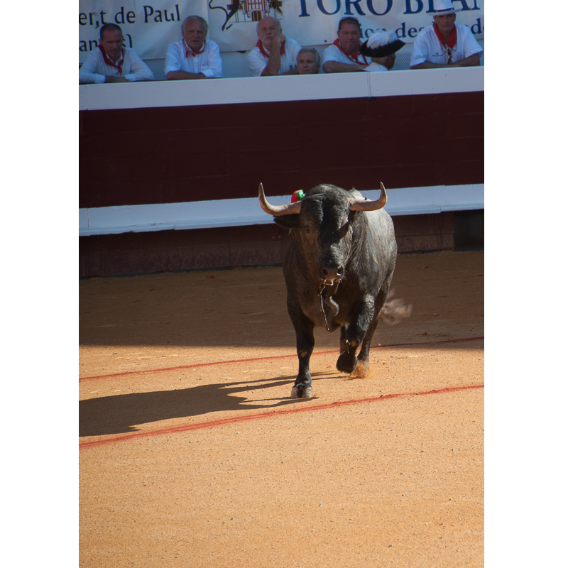 Feria de Dax, France, 2017