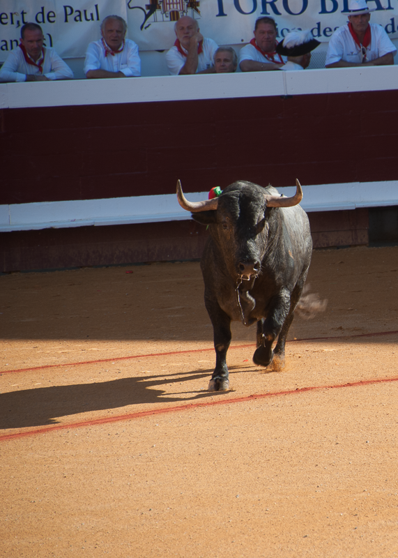 Feria de Dax, France, 2017