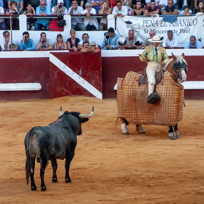 Toros y Salsa, Dax, France, 2018
