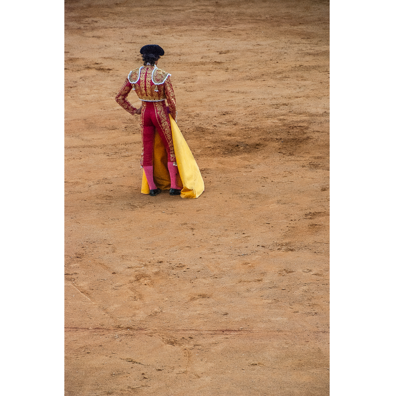 Toros y Salsa, Dax, France, 2018