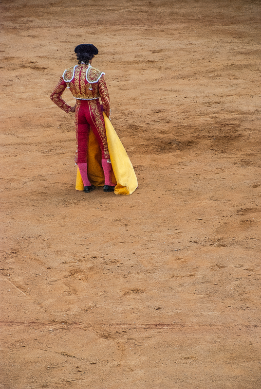 Toros y Salsa, Dax, France, 2018
