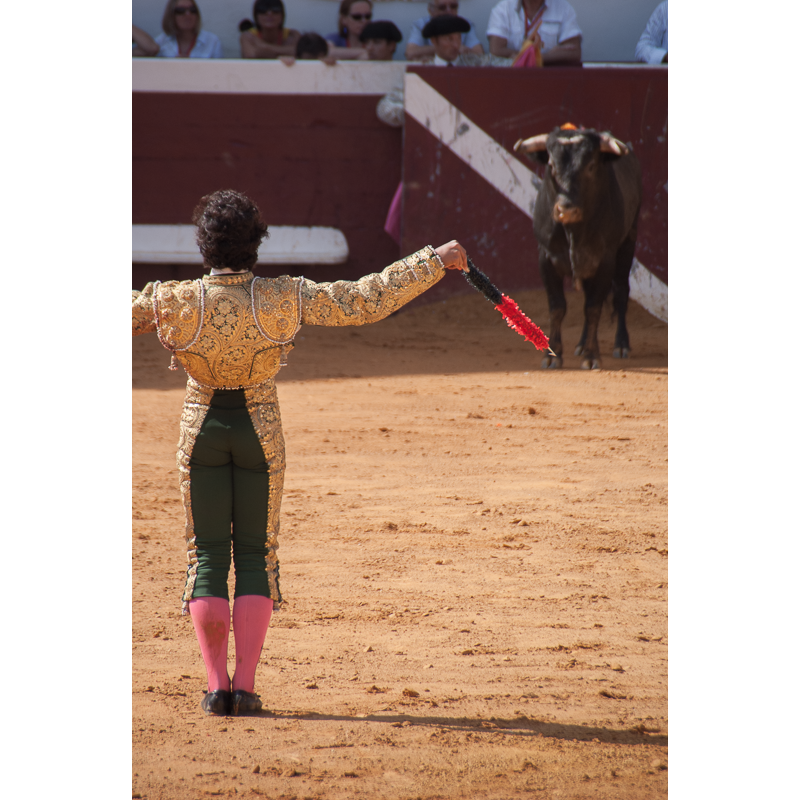 Toros y Salsa, Dax, France, 2014