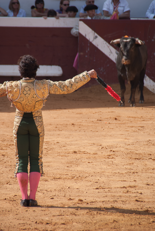 Toros y Salsa, Dax, France, 2014