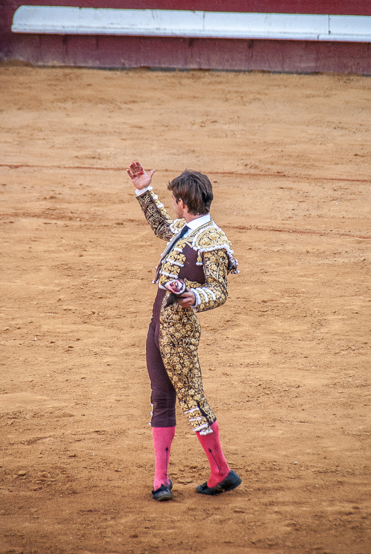 Toros y Salsa, Dax, France, 2014