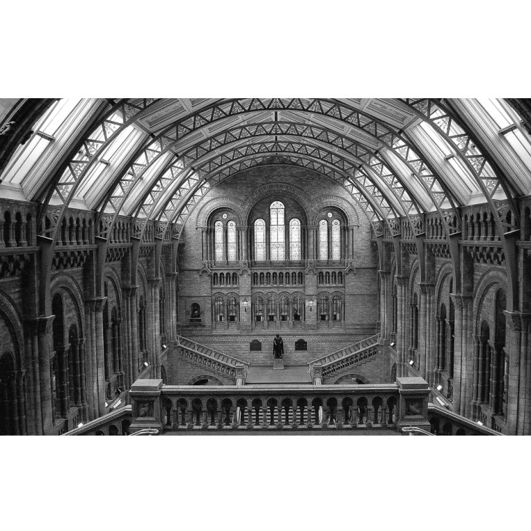 Natural History Museum, Londres, Angleterre, 1994