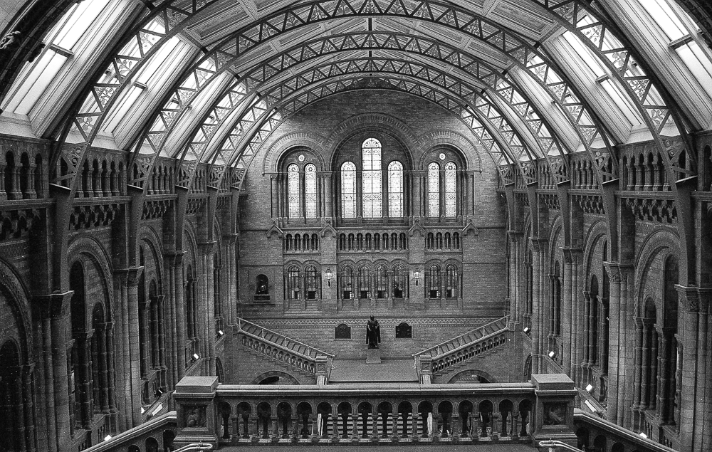 Natural History Museum, Londres, Angleterre, 1994