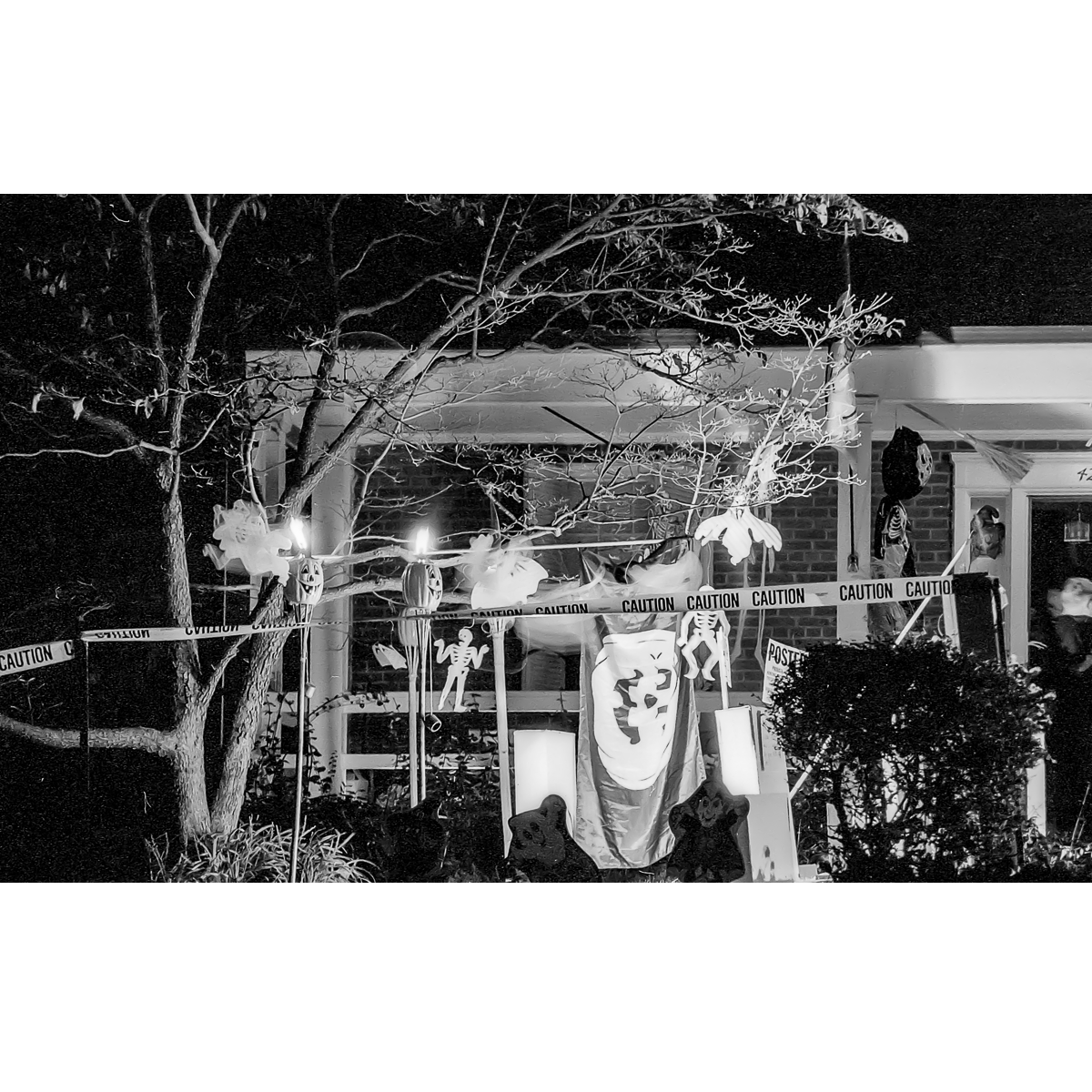 Halloween, Washington D.C., Etats-Unis, 1995
