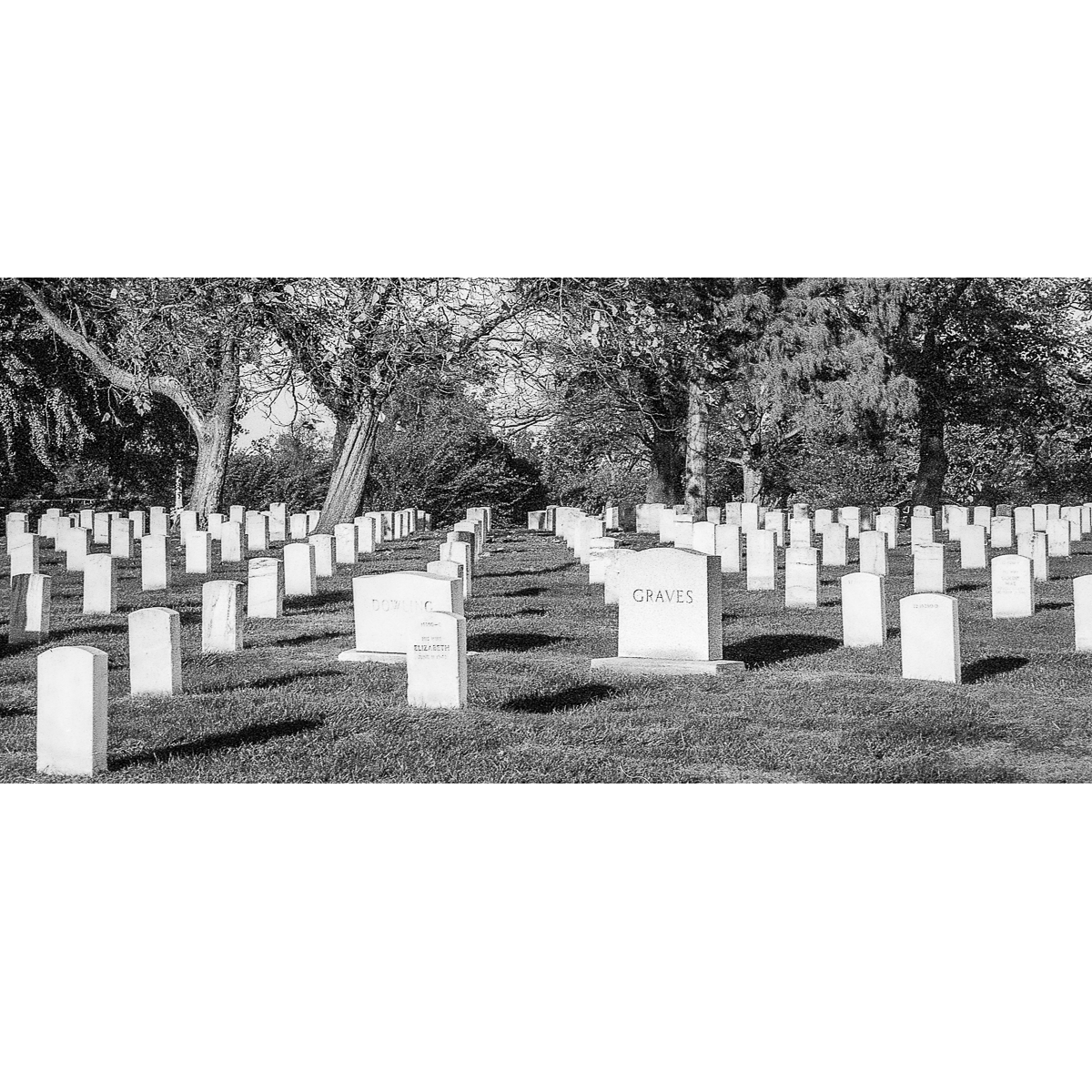 Graves, cimetière d&rsquo;Arlington, Etats-Unis, 1995
