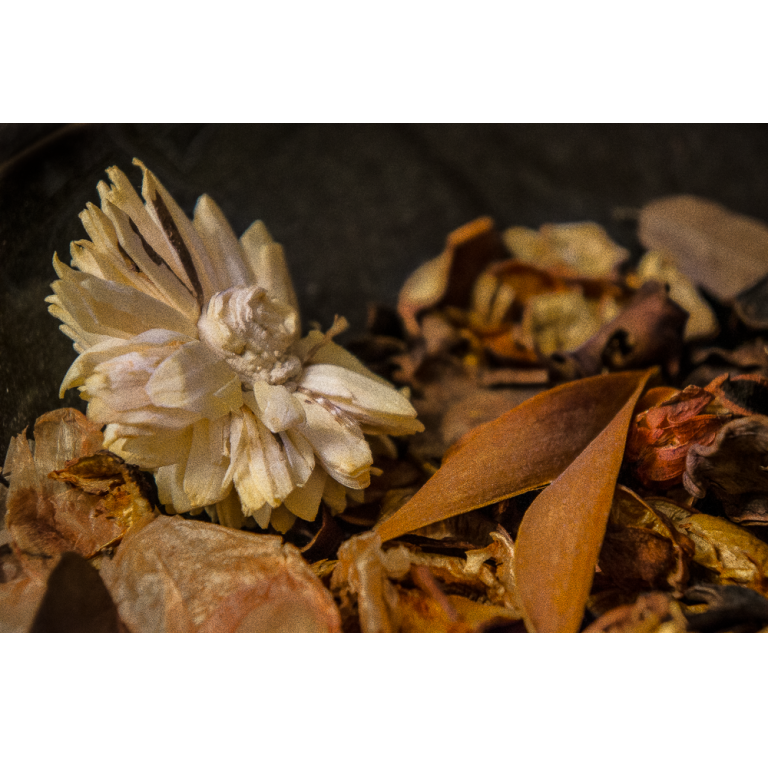 Pot-pourri, Paris, France, 2013