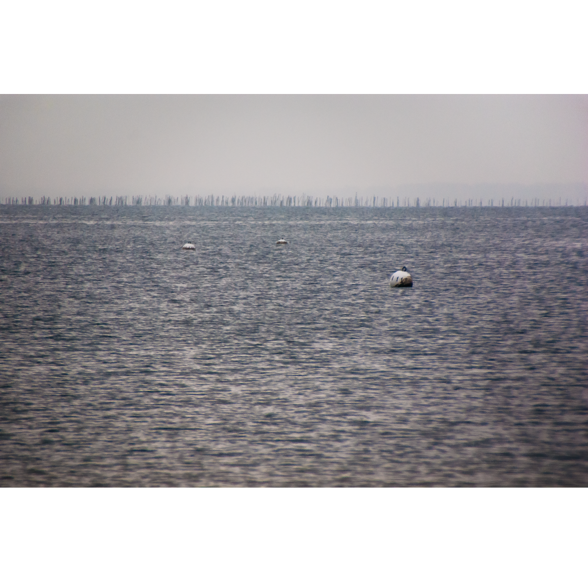 Arcachon, France, 2010