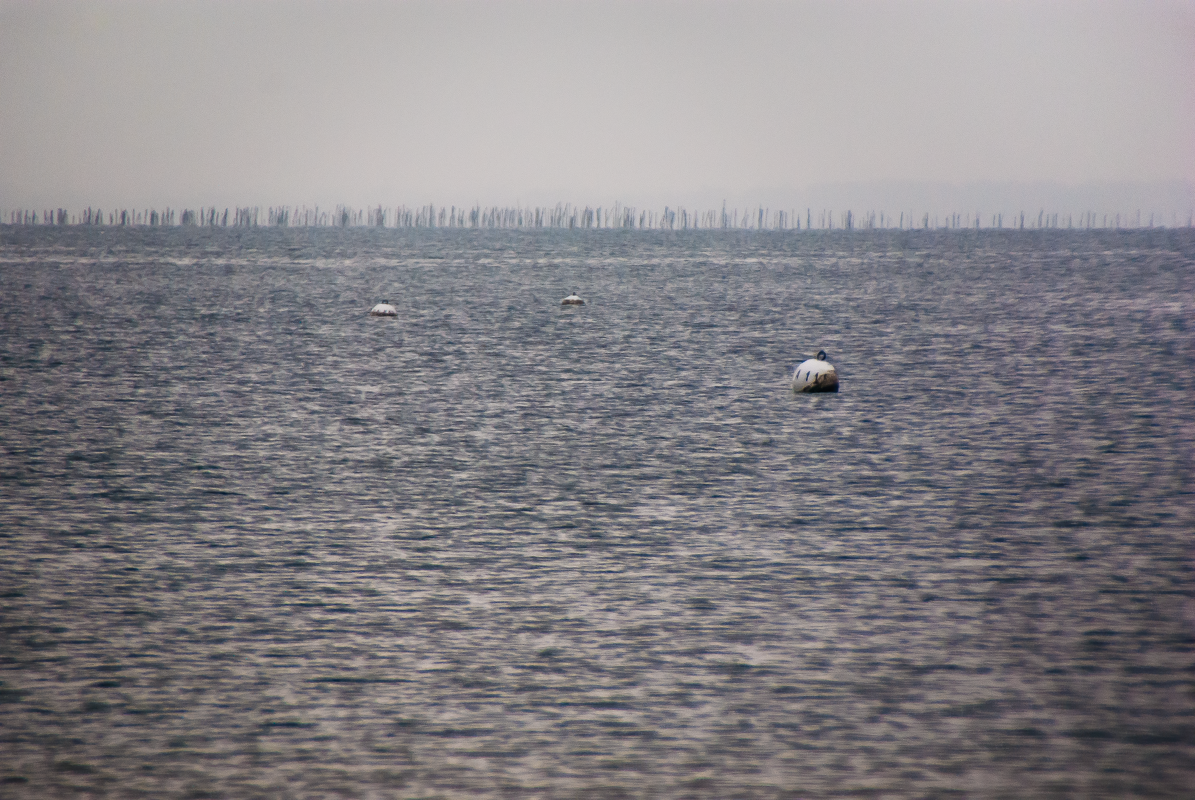 Arcachon, France, 2010