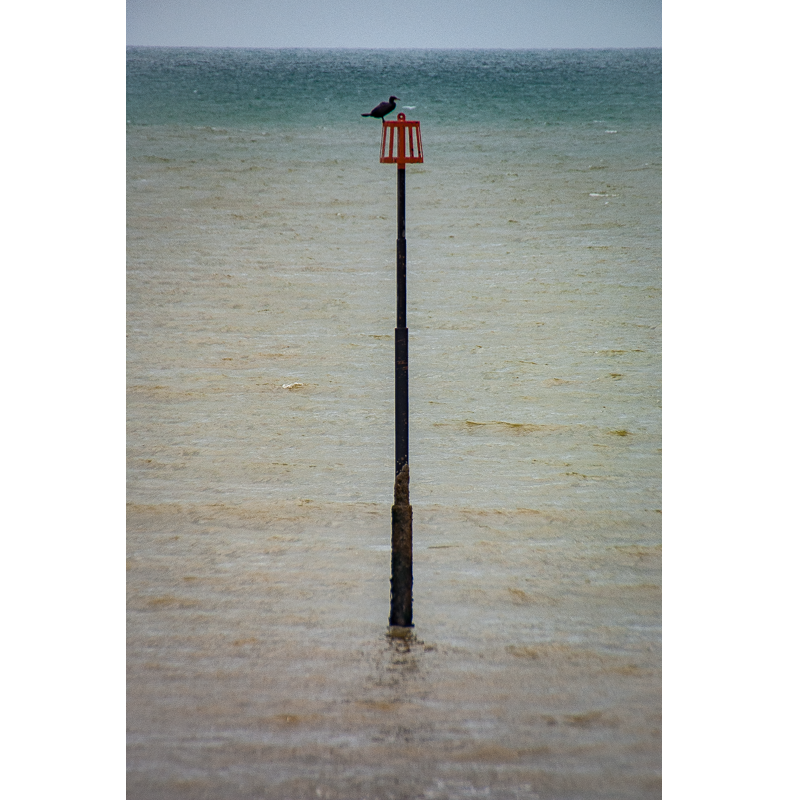 Eastbourne, Angleterre, 2008