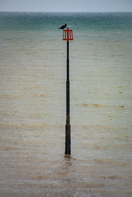 Eastbourne, Angleterre, 2008